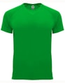 Heren Sportshirt Bahrain Roly CA0407 Fem Green